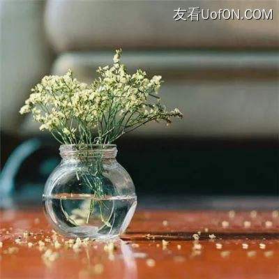 快打先锋游戏